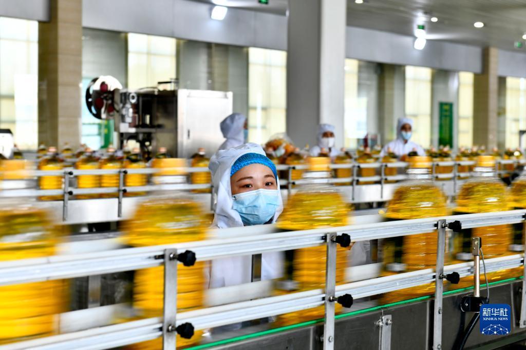 红宝石赌博登录